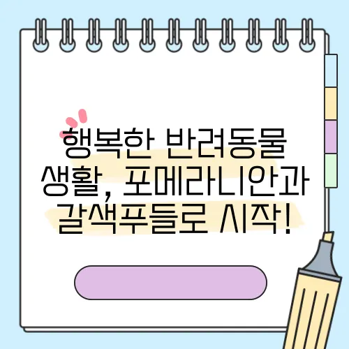 행복한 반려동물 생활, 포메라니안과 갈색푸들로 시작!