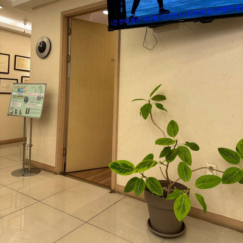 강남구 청담동 정형외과 유명하고 잘하는 곳 추천 TOP 5