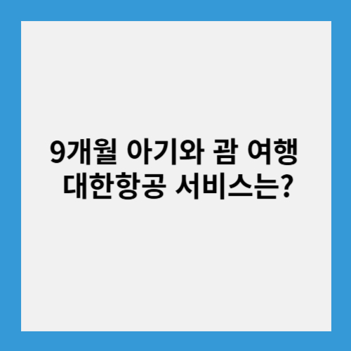 대한항공 서비스