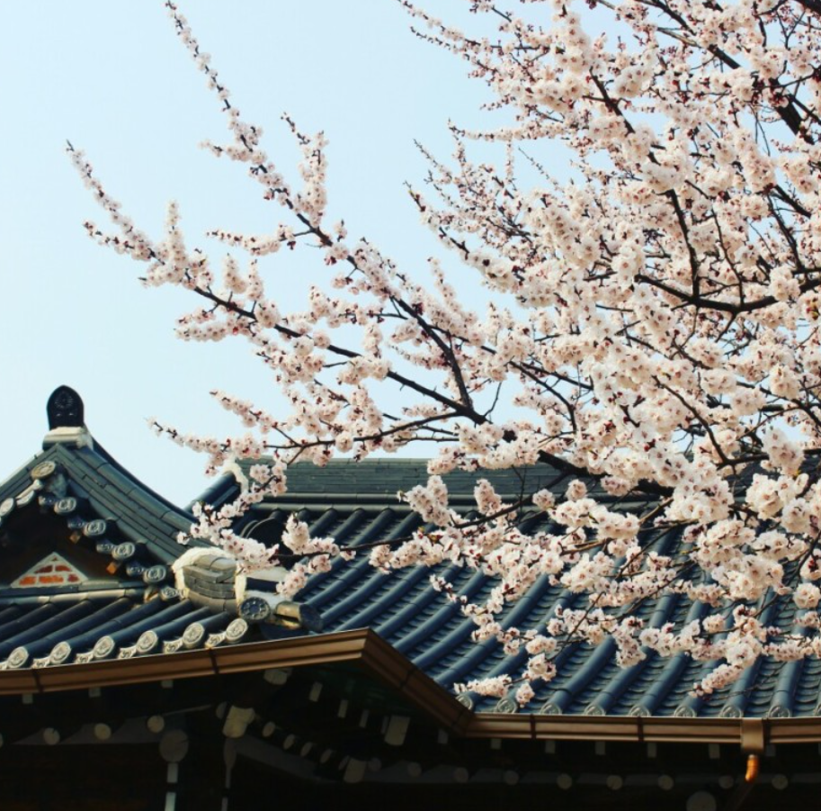 전주 한옥마을