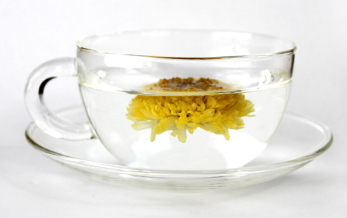 국화차 효능
