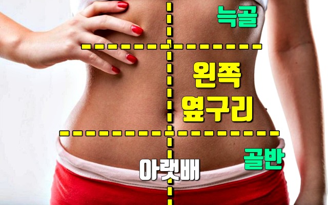 왼쪽 옆구리 통증 의심되는병, 건강 팁줌 매일꿀정보