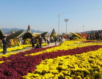 11월 국내여행지 추천 BEST 10