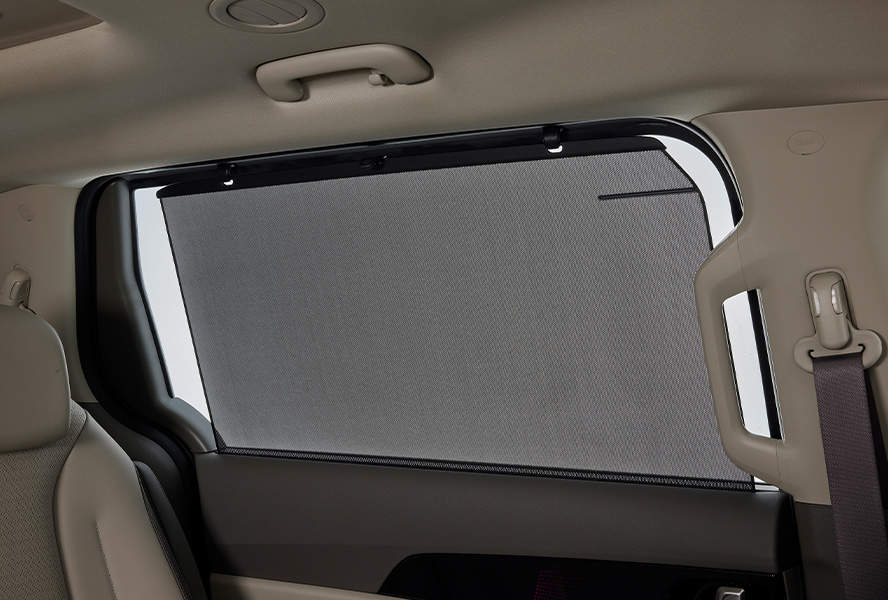 신형 카니발, The New Carnival