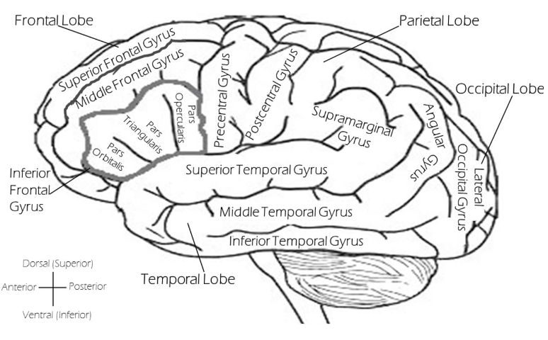 콘텐츠 금식이 창의력에 미치는 영향: 뇌에 공간을 주는 법