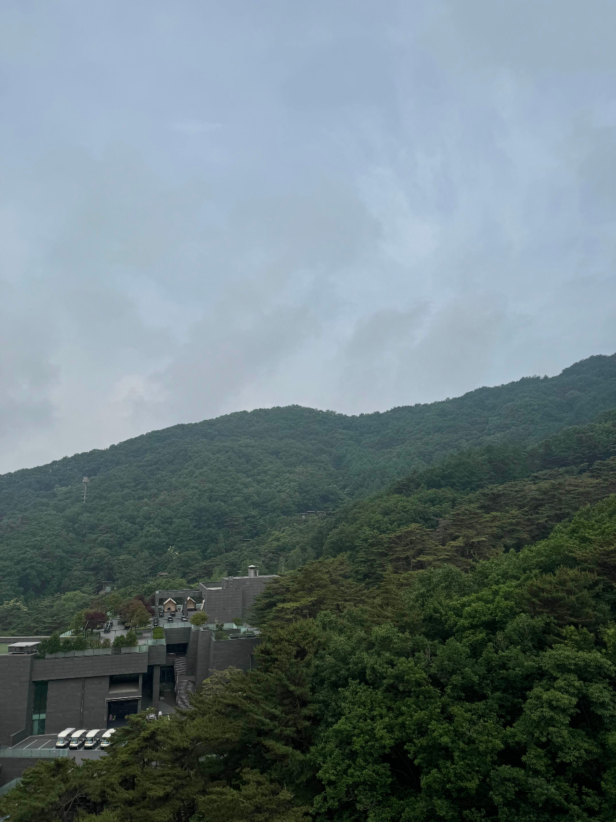 풍경