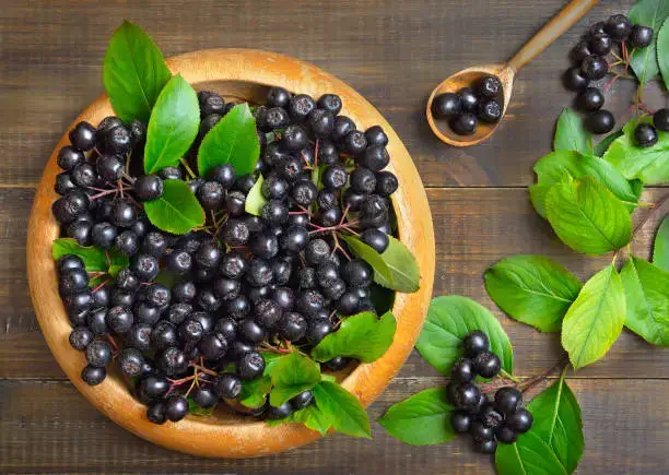 아로니아 효능 총정리|눈 건강·피부·혈관 개선 효과와 부작용까지