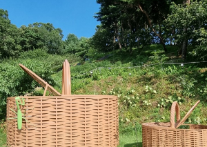 경기도 정원 카페