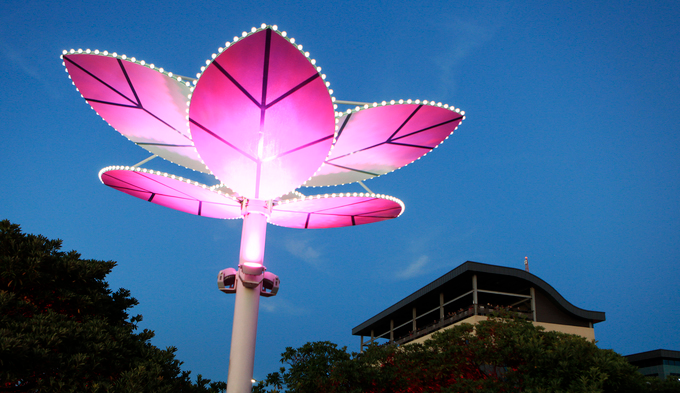 당일치기 여수여행 추천(오동도&amp;#44; 고소천사벽화마을&amp;#44; 향일암&amp;#44; 돌산공원&amp;#44; 여수 해상케이블카)