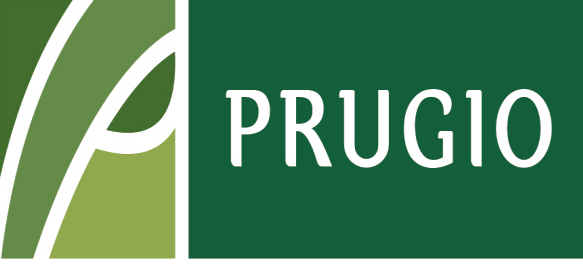 푸르지오, 대우건설