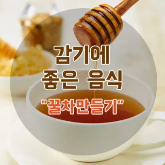 감기에 좋은 음식 5가지 자연에서 찾은 면역력 보약 건강식품_8