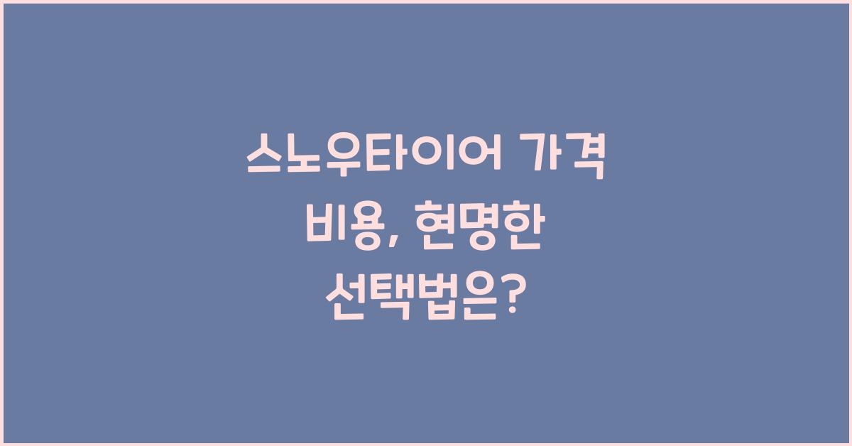 스노우타이어 가격 비용