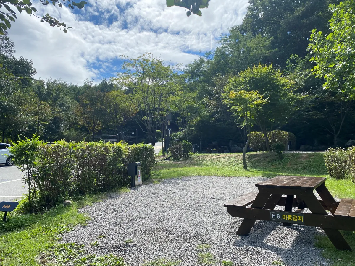 서울근교-당일캠핑-피크닉-가능한-초안산캠핑장-사이트-총정리(주차,통로위치-등)