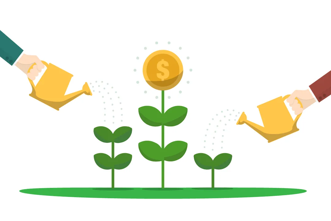 Investment Illustration