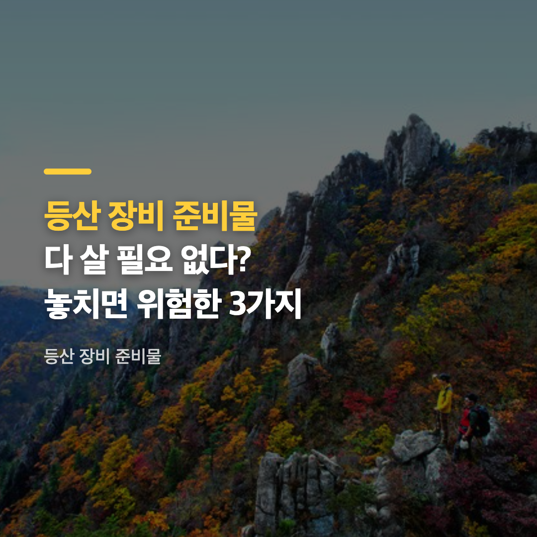 등산 장비 준비물 중 기본이 되는 등산화와 스틱