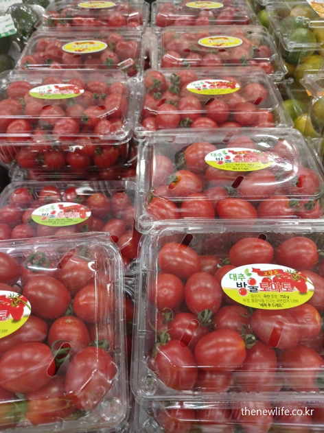 라이코펜과 항산화 성분이 풍부해 활성산소를 줄여 여성 탈모 완화에 효과적인 토마토