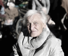 경로우대-교통카드