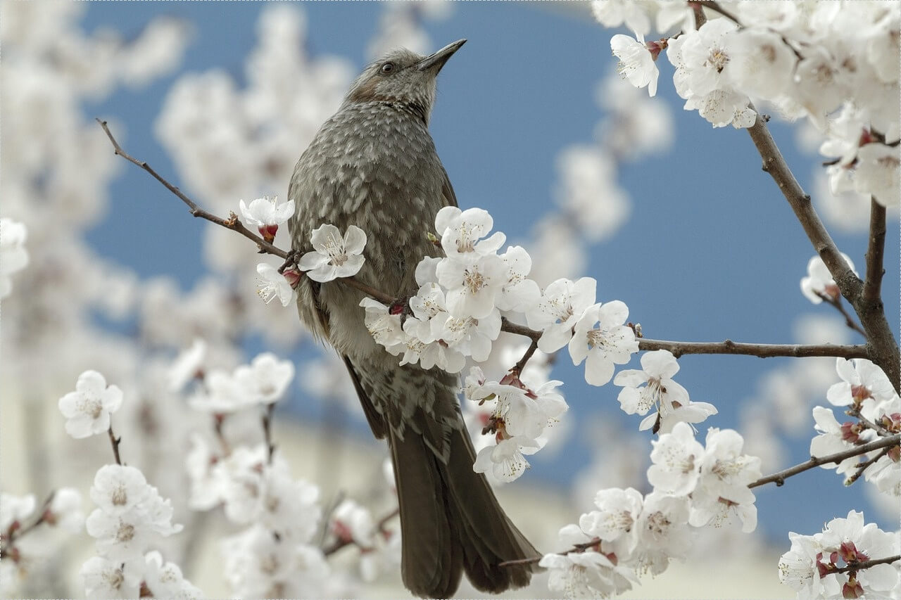 하나은행 정기예금 금리