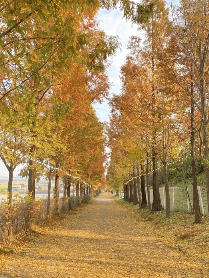 μμ° νΌλν΄λλ