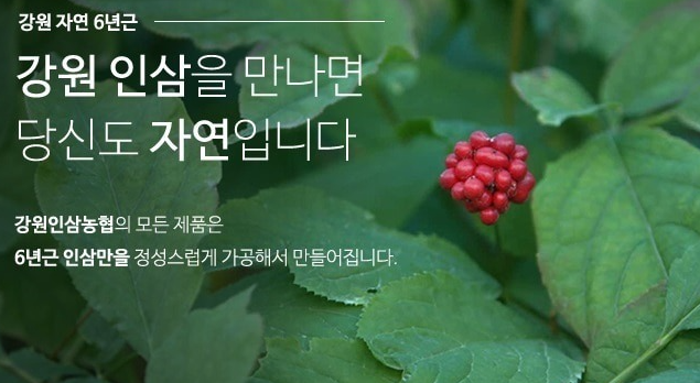 강원인삼농협