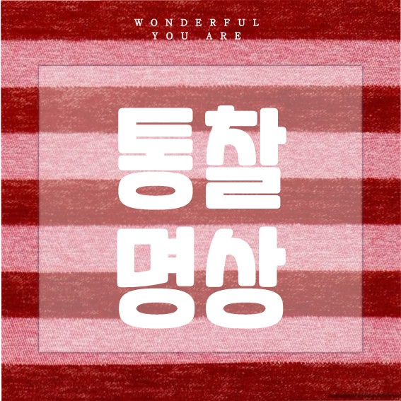 통찰 명상 완벽 가이드: 마음의 자유를 찾는 길