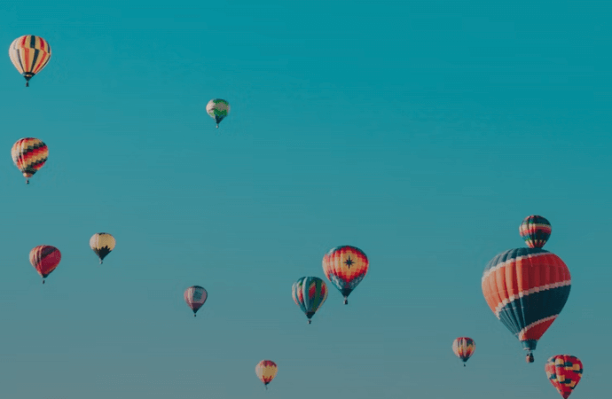 여권없을때 대처법