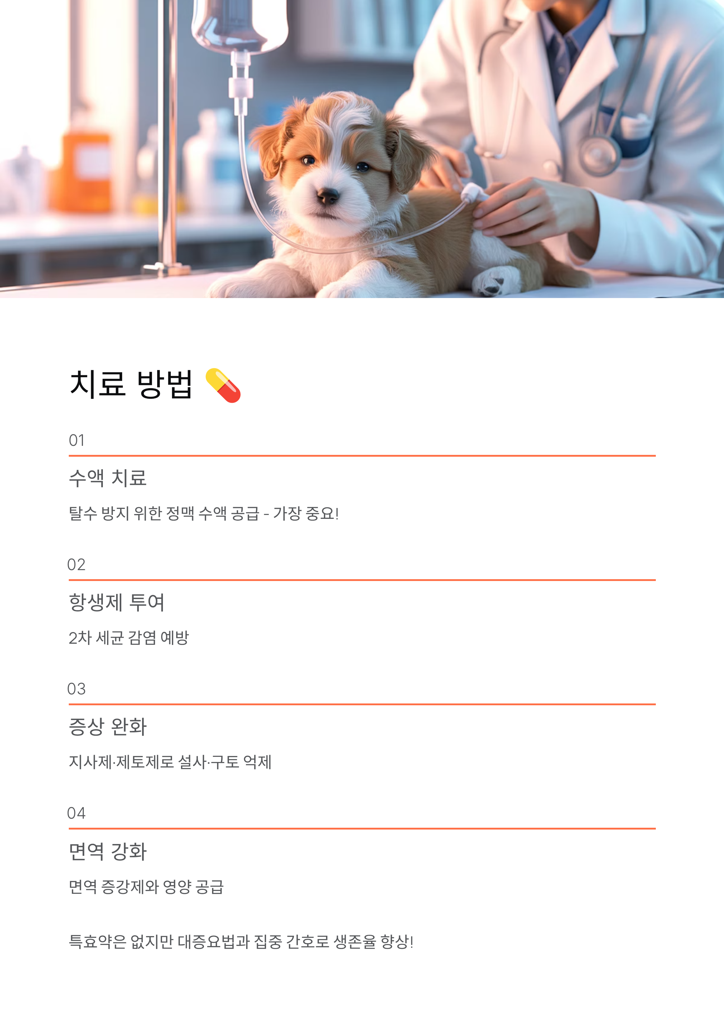 강아지 파보 🚨 증상·치료·예방접종 완벽 가이드!