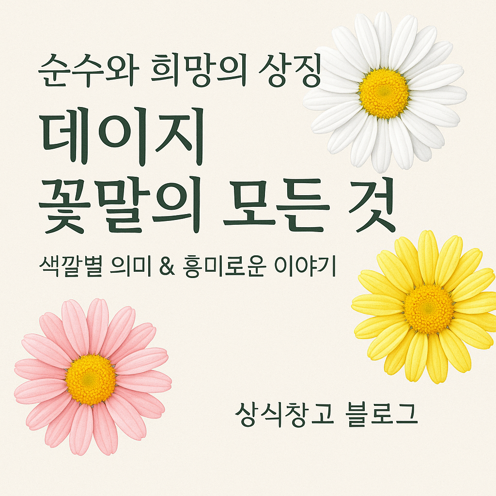 데이지 꽃말