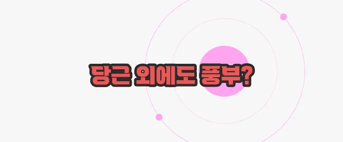 비타민A가 많은 음식 궁금한 점, 풀어보죠