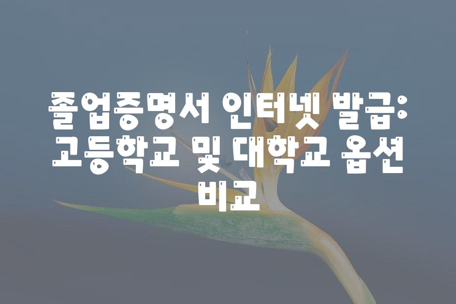 샘플 (45)