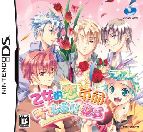 닌텐도 DS 영문패치판