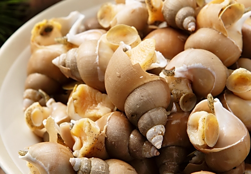 골뱅이 효능, 부작용, 삶는법