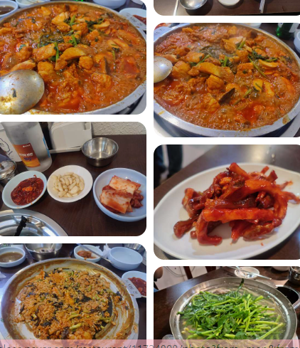 방송 맛집