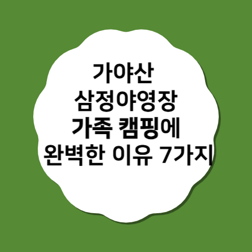 가야산 삼정야영장 리얼 후기: 가족 캠핑에 완벽한 이유 7가지