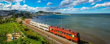 숙박페스타 할인 여행 숙소 국내여행