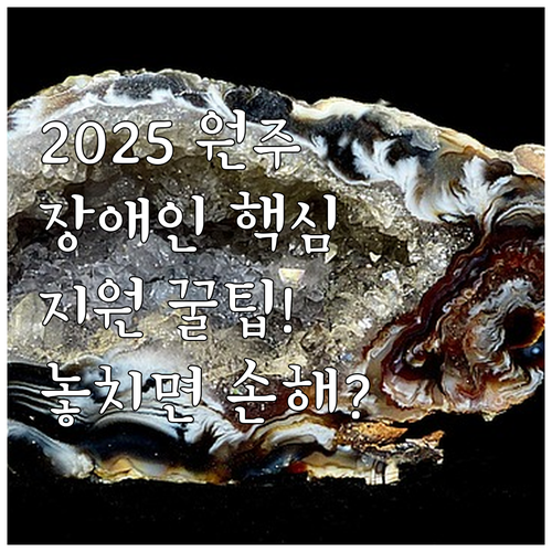 2025년 강원특별자치도 원주시 장애..