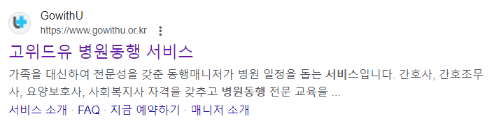 동행서비스 민간업체 (예시)