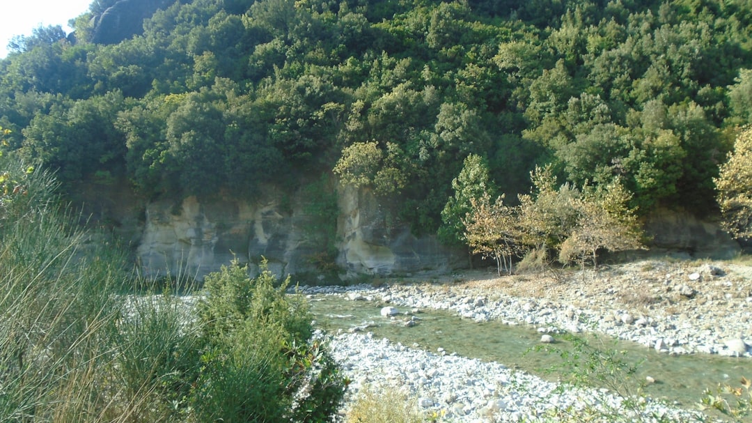 Pocheon