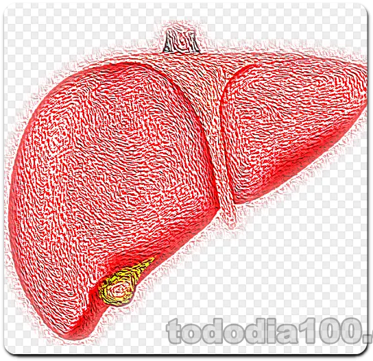 HLB 리보세라닙 간암치료제