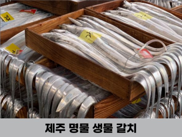 생방송투데이 오늘도달린다 청년사장 수산물로 월매출 4천 윤자네수산 정보