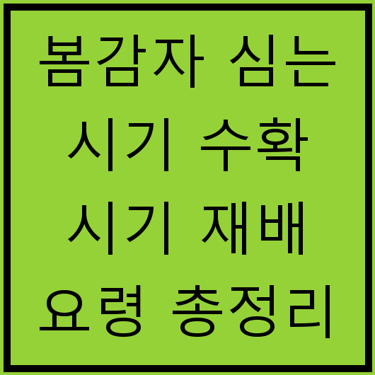 봄감자 심는 시기 수확 시기 재배 요령 총정리