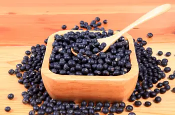 검은콩 효능 및 영양소&amp;#44; 가격