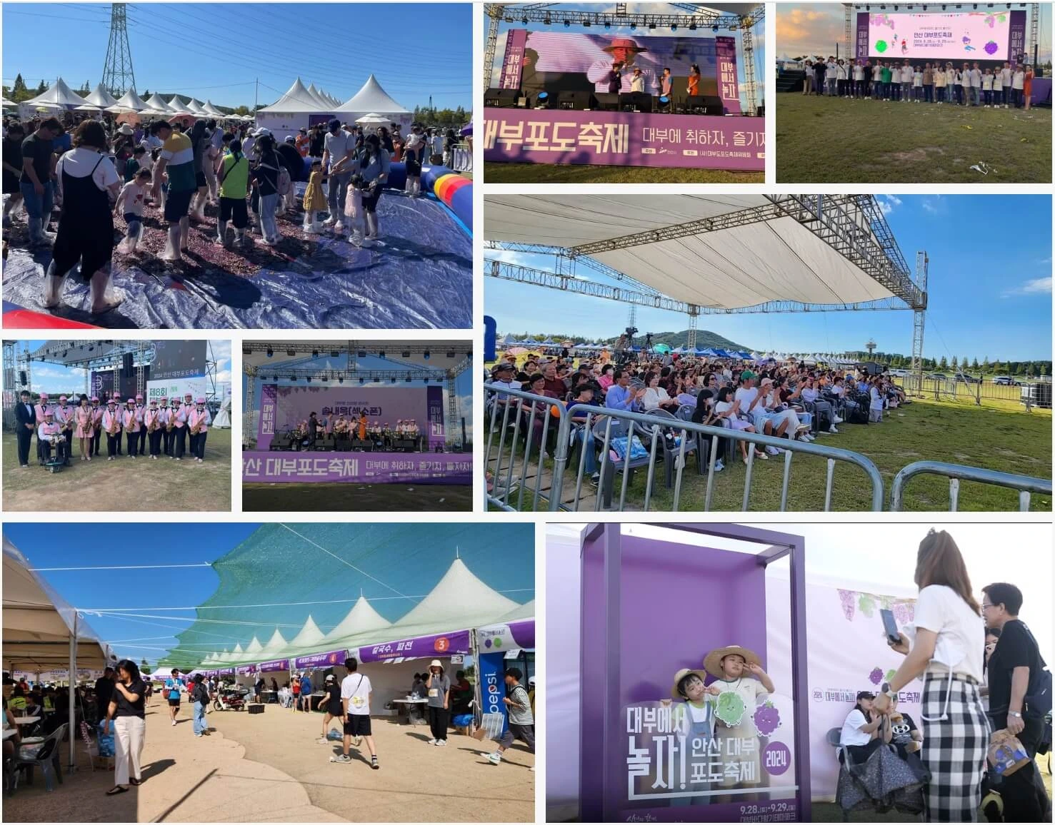 안산 대부 포도 축제 기본정보