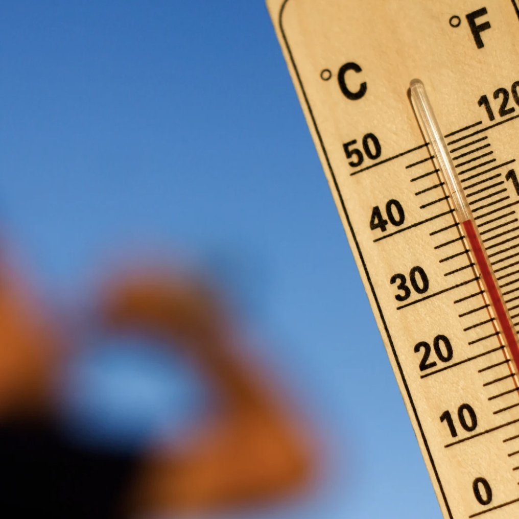 폭염대비_응급키트_넥스트세이프