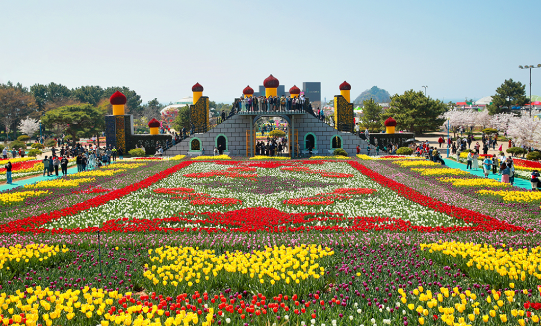 튤립축제