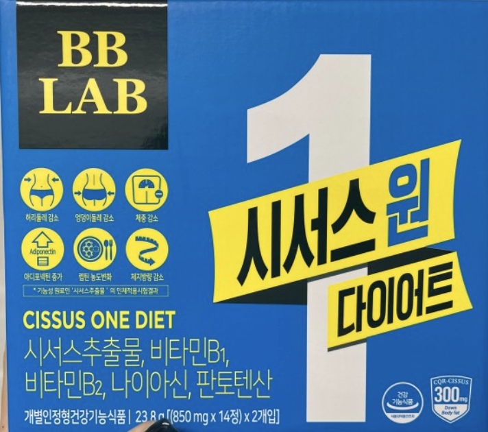 시서스-다이어트-후기