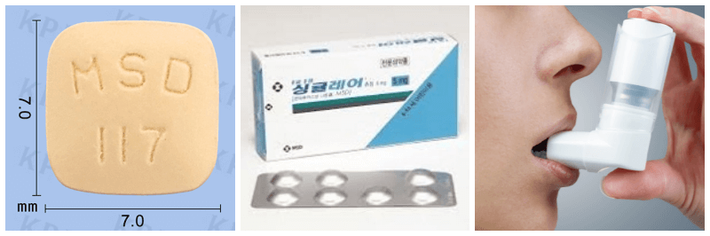 싱귤레어정, 천식 사진