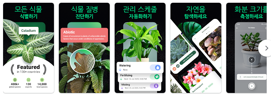 식물 이름 찾기 어플, 어플 다운로드 하고 식물이름 찾기