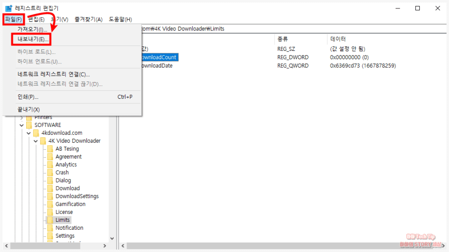 4K Video Downloader 다운로드 레지스트리 내보내기