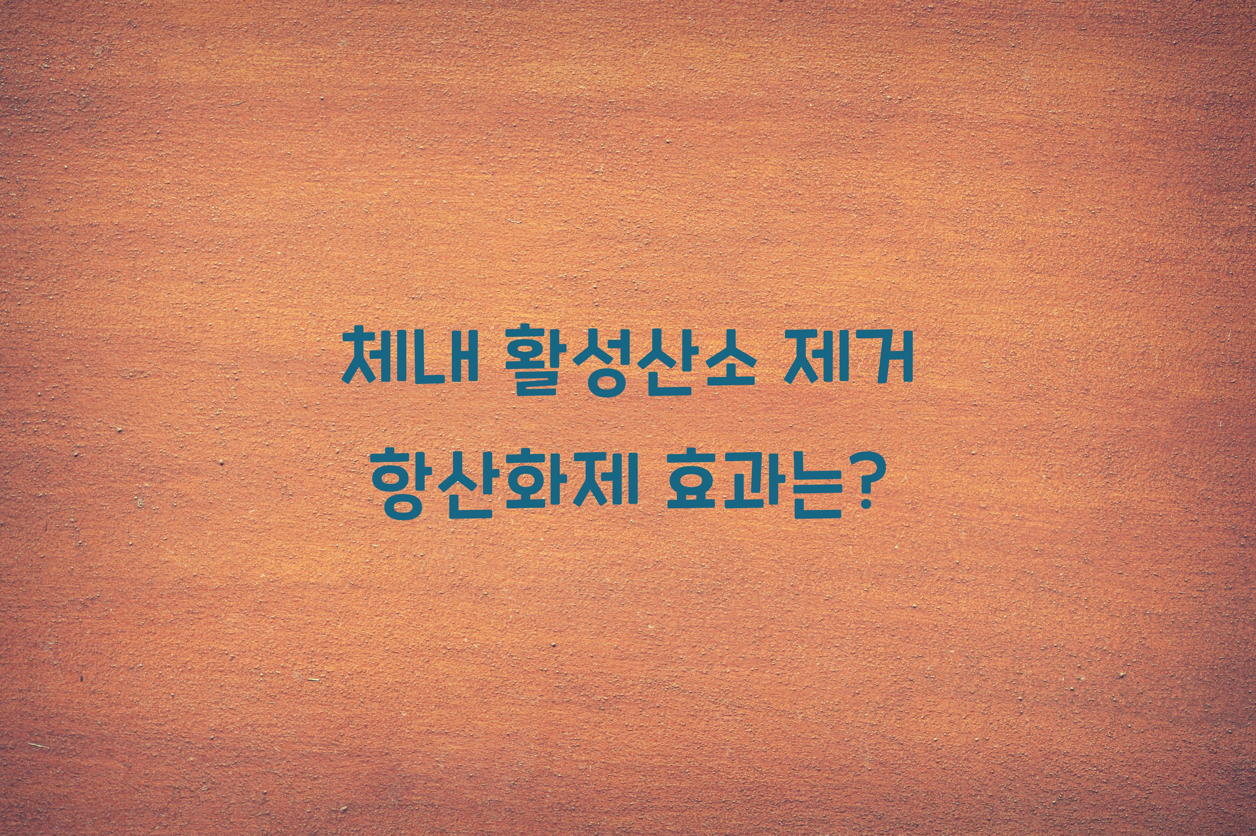 체내 활성산소 제거 항산화제